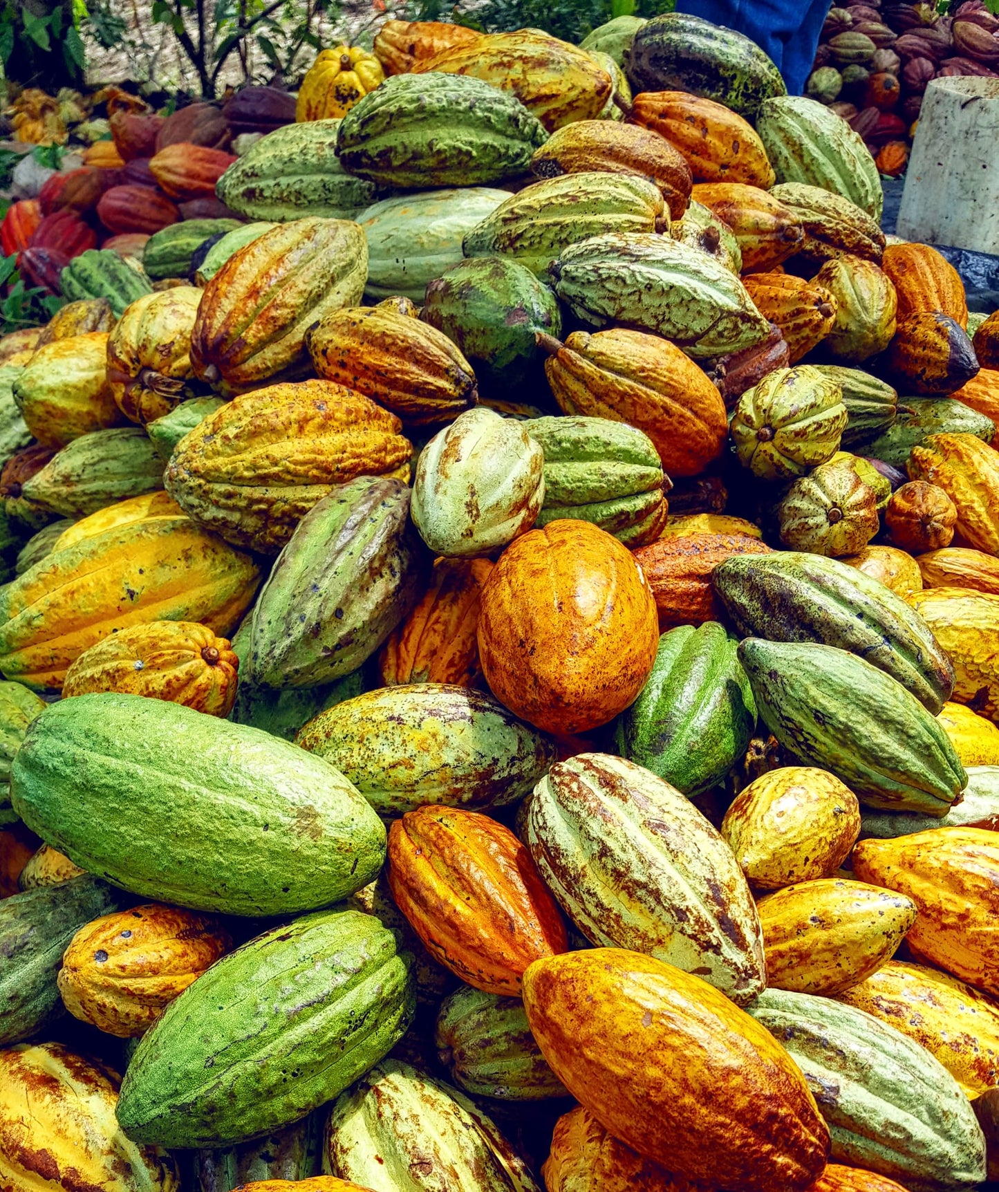 Chocolate mass Nicaragua O'TUMA 100% (1kg)